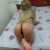 jesmin3